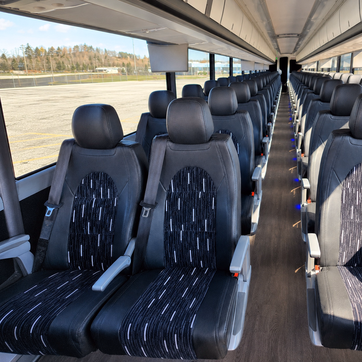 charter buses for the skagit valley tulip festival and bellingham s biggest events