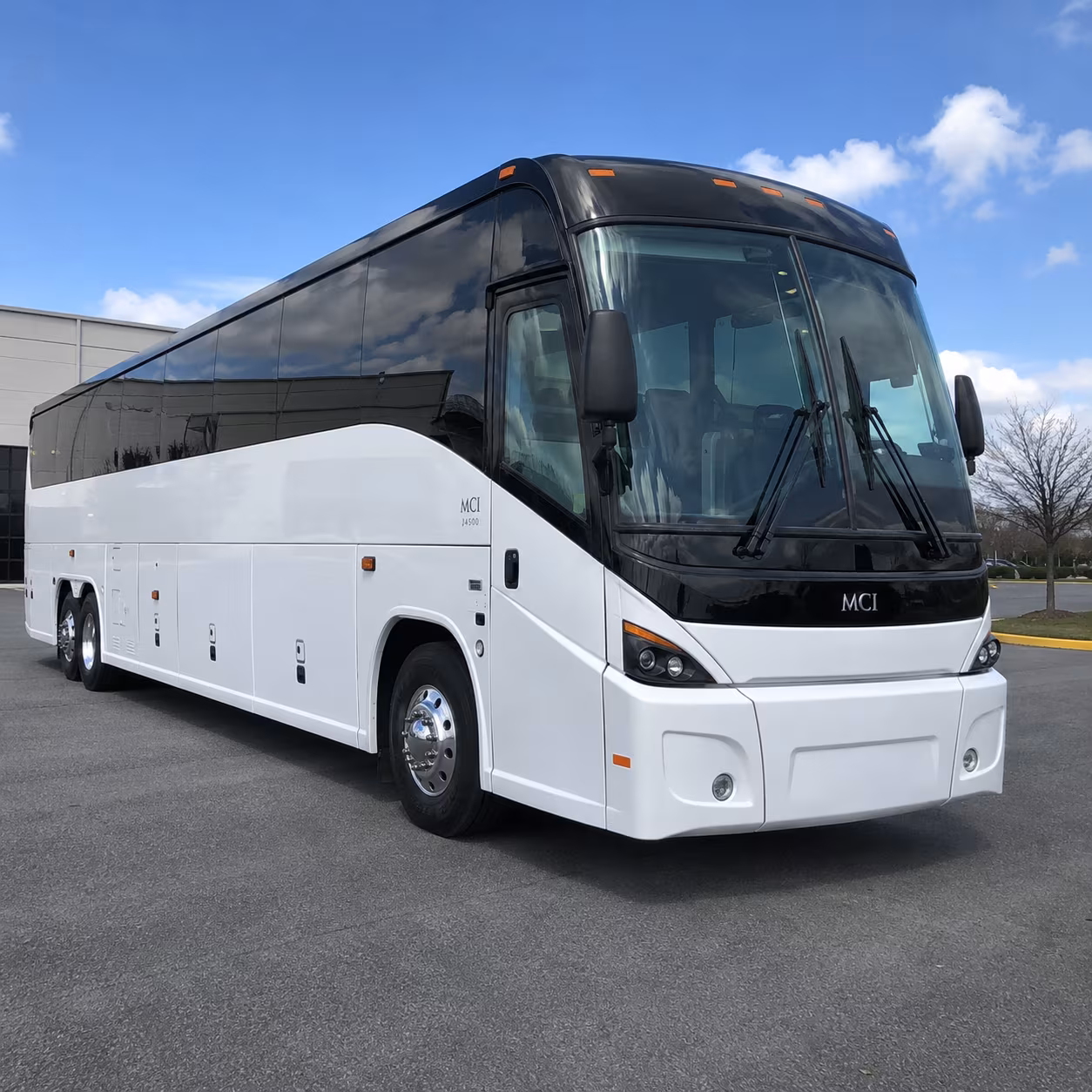 one search for your bellingham group trip